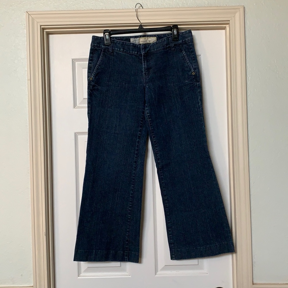 Anne Taylor Trouser Fit Denim